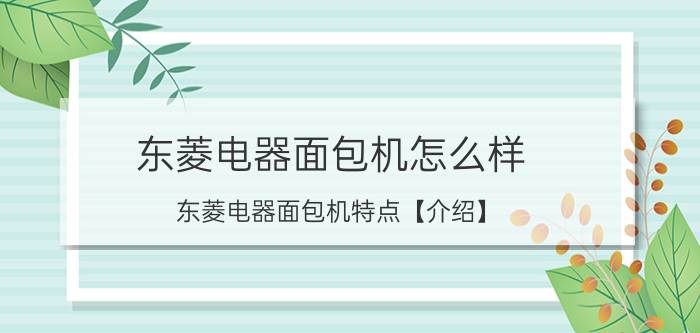 东菱电器面包机怎么样 东菱电器面包机特点【介绍】